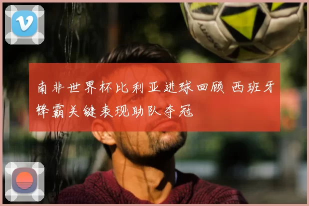 南非世界杯比利亚进球回顾 西班牙锋霸关键表现助队夺冠
