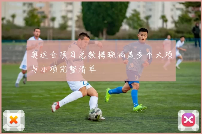 奥运会项目总数揭晓涵盖多个大项与小项完整清单