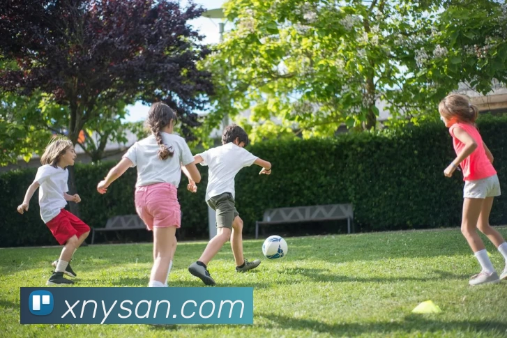 世预赛直播 - 世预赛直播免费观看无插件 - 世预赛直播在线观看 - 24直播网发展历程